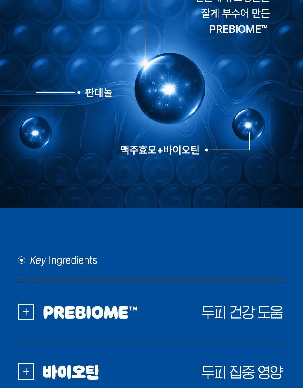 [포켓몬 에디션]다슈 데일리 밀크씨슬 블루바이옴 스칼프 샴푸 500ml(+피카츄 샴푸브러쉬) 상세페이지 26